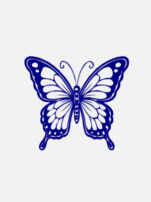 blue butterfly image
