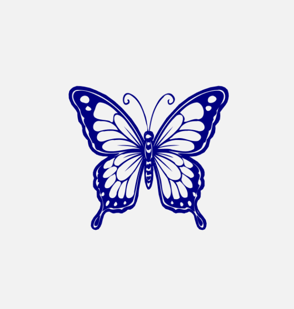 blue butterfly image