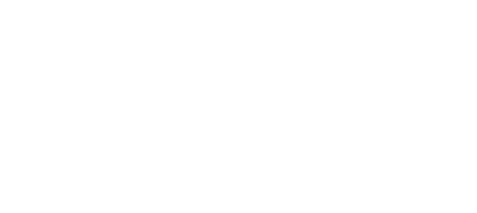 naija tailors empowerment initiative-transparent white logo