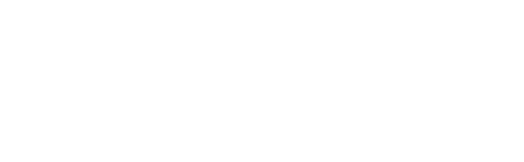 naija tailors empowerment initiative-transparent white logo